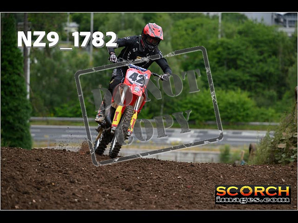 IntersGreenOrange-037