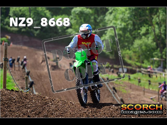 IntersGreenOrange-334