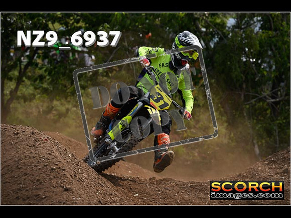Experts-335