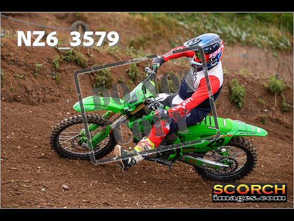 IntersGreen-098
