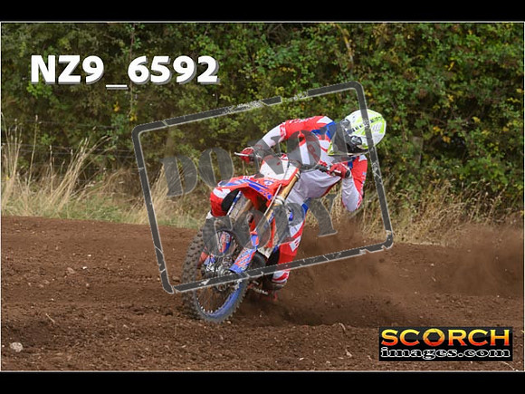 Experts-298