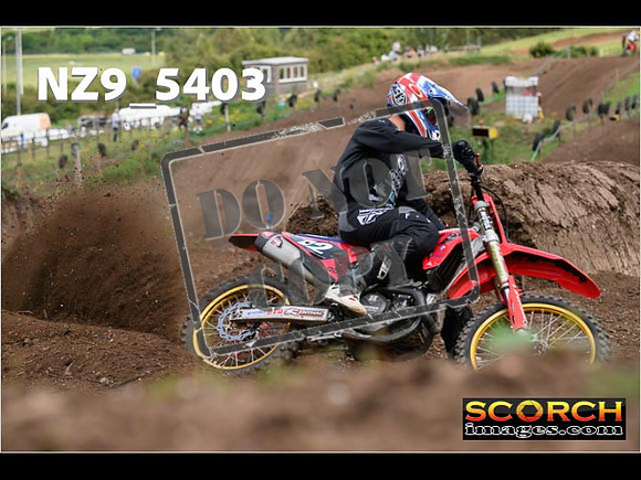 Experts-179
