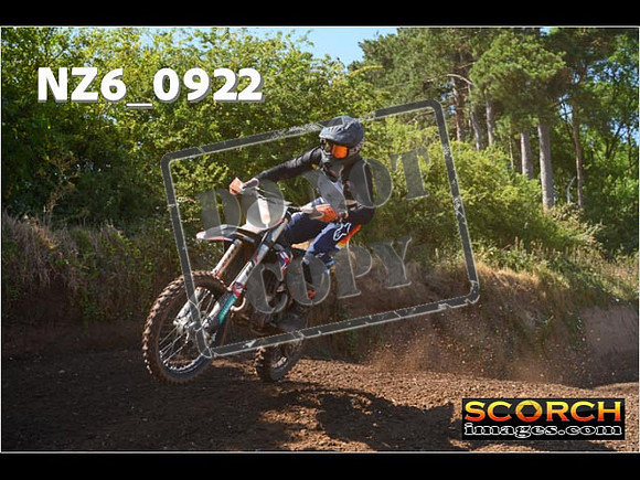 Experts-081