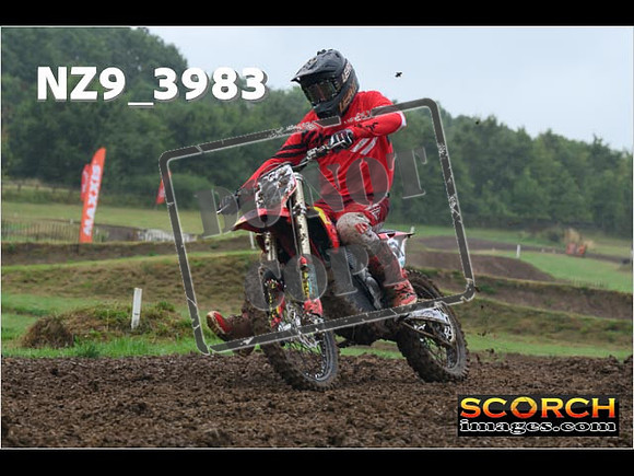 Experts-059