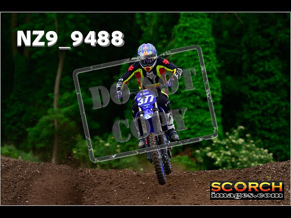 Experts-087