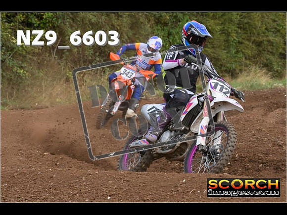 Experts-308