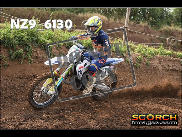 Experts-045