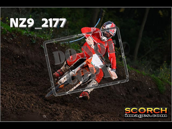 Experts-181