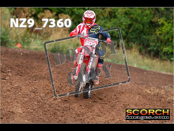 Red- Over 60-244