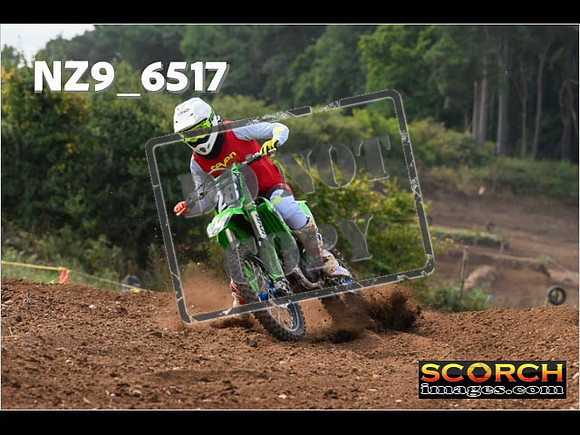Experts-226