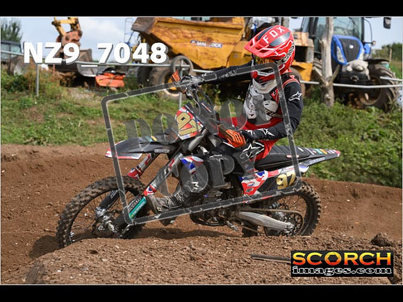Experts-444