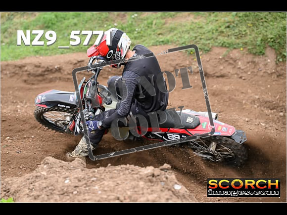 Experts-241
