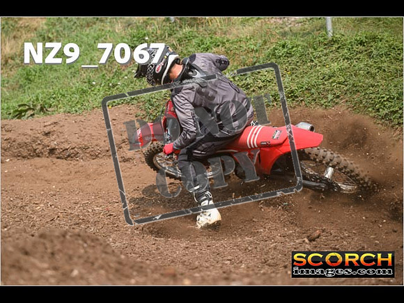 Experts-462