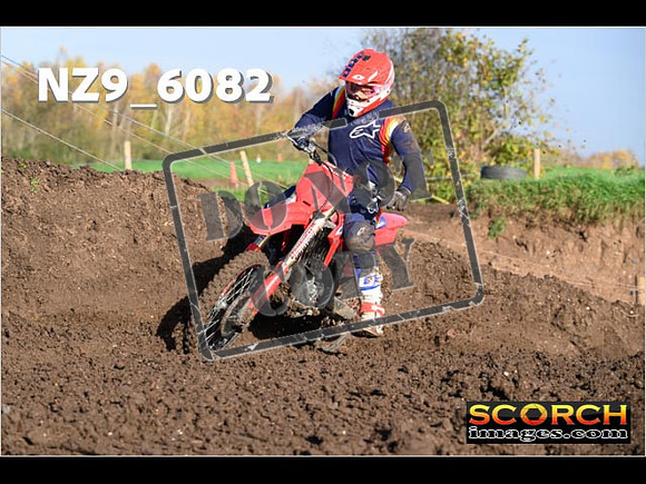 Experts-124