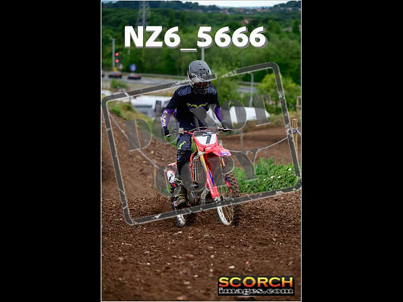 Inters Green-106