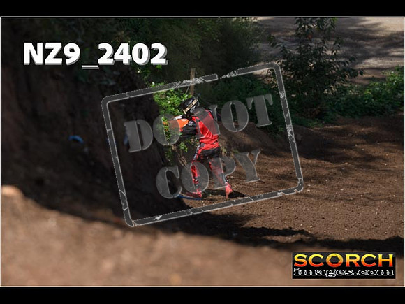 Experts-059