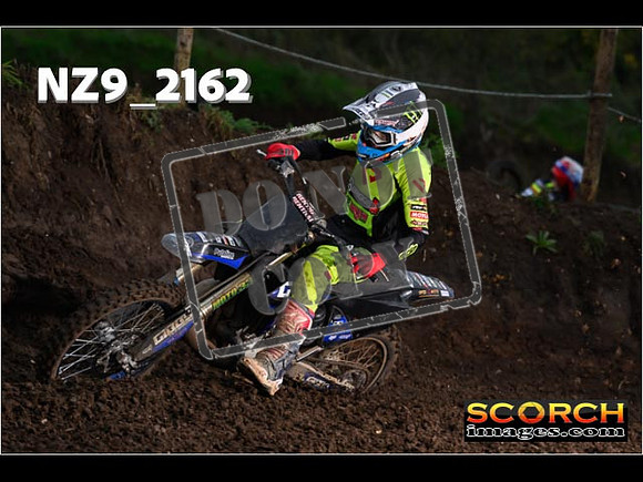 Experts-167