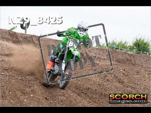 IntersGreen-071