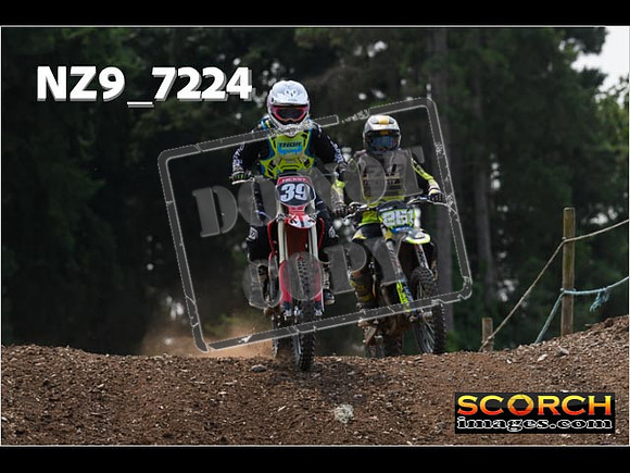 Inters Green-219