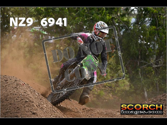Experts-339
