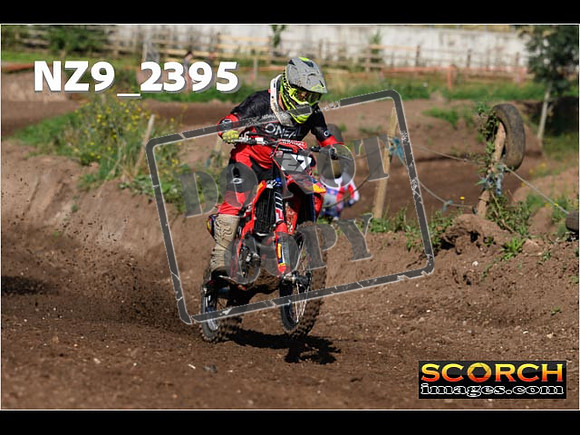 Experts-052