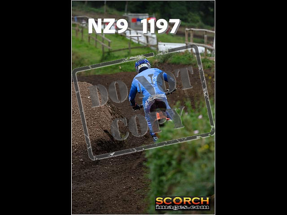 Experts-135