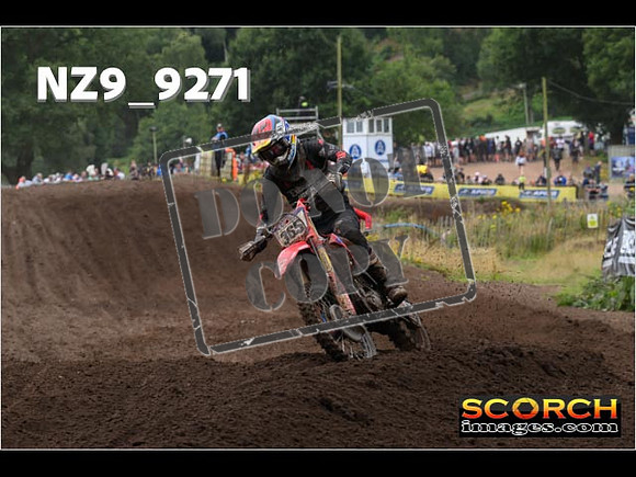 MX1-219
