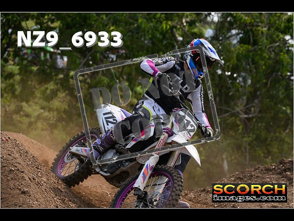 Experts-331