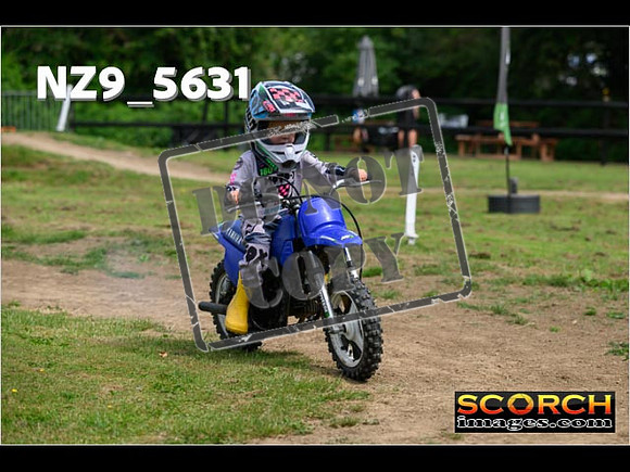 PeeWee Track-012