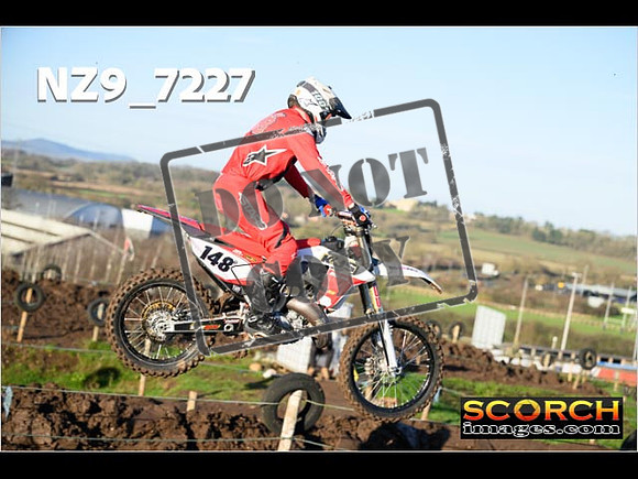 Experts-041
