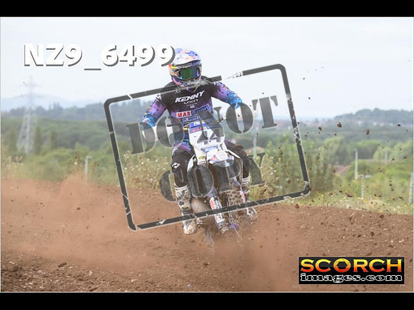 Experts-209