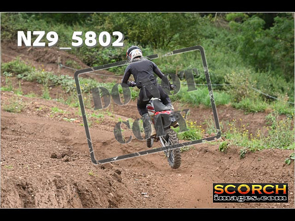 Experts-269