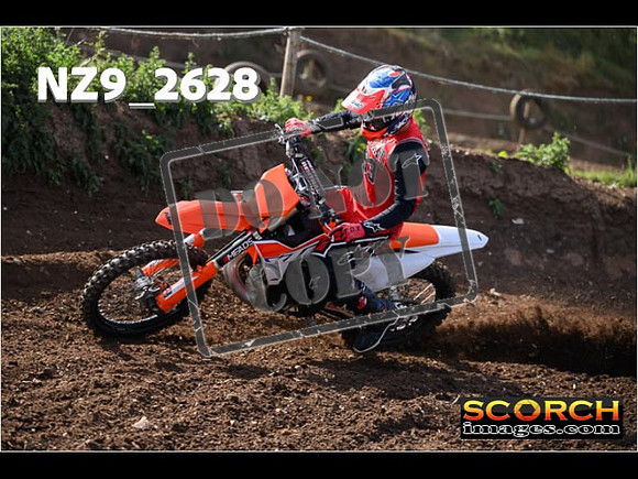 IntersGreenOrange-028