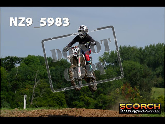 Experts-069