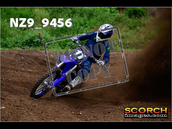 Experts-058