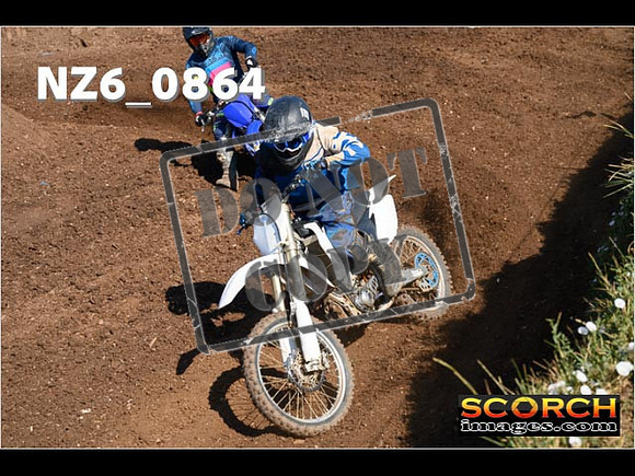 Experts-026