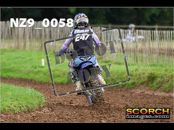 Novice-231