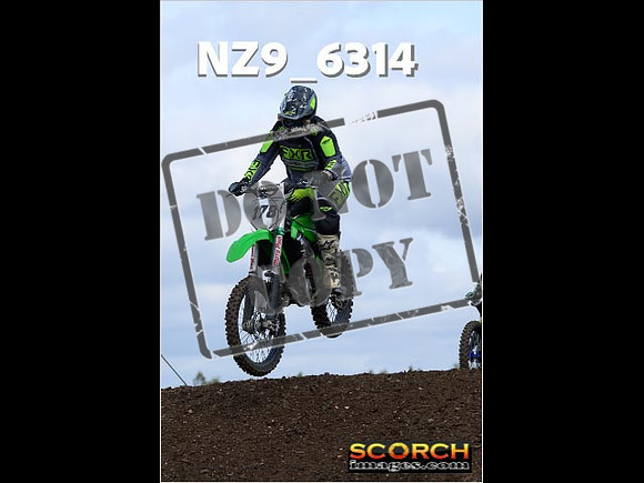 IntersGreen-125