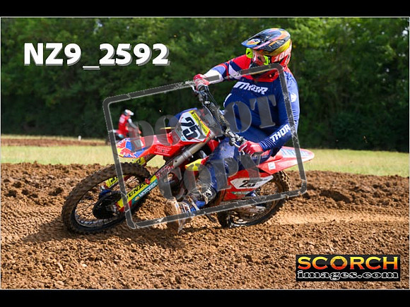 Experts-153