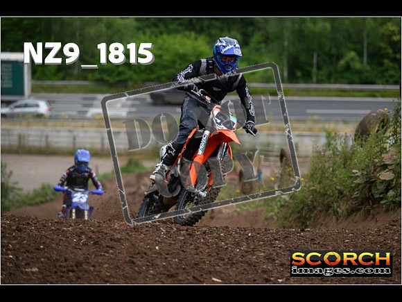 IntersGreenOrange-068