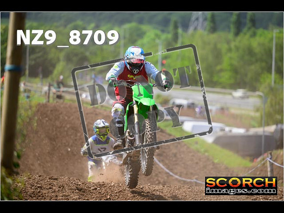 IntersGreenOrange-373