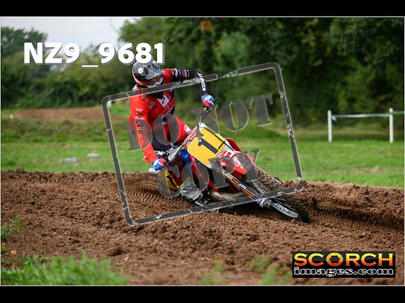 Experts-113