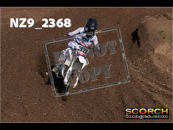 Experts-026