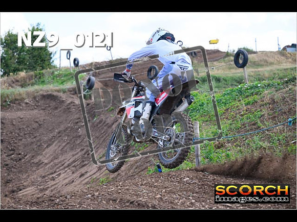 Experts-131