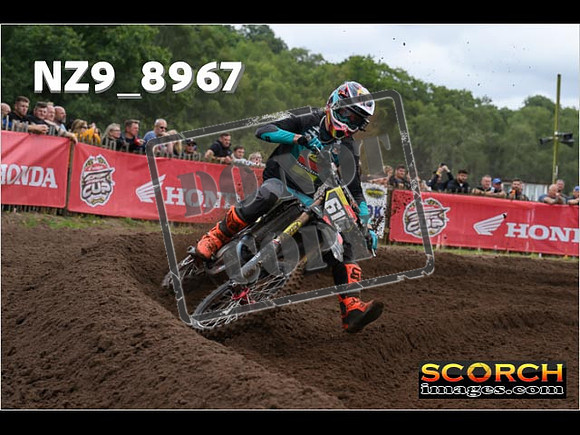 MX2-118