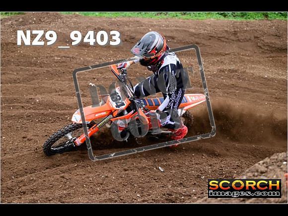 Experts-009