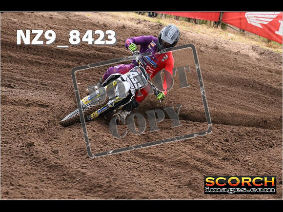 MX2-019