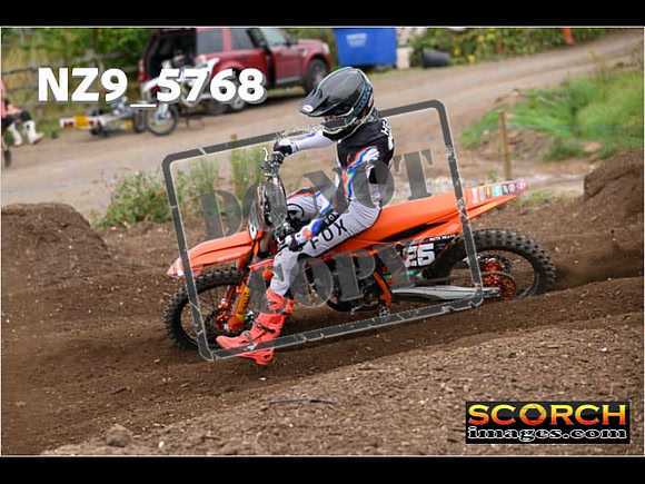 Experts-238