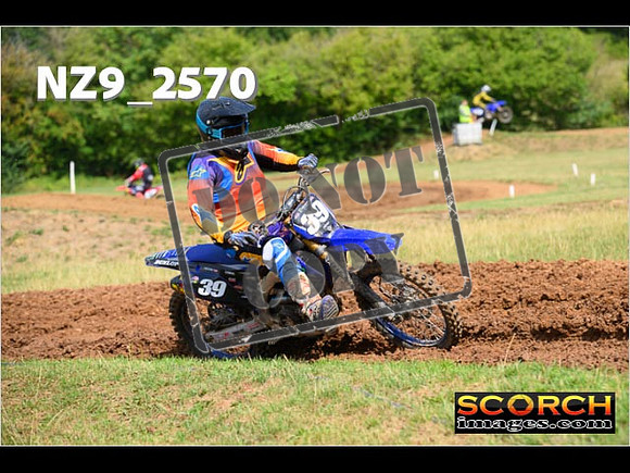 Experts-131