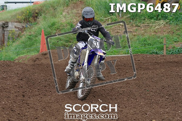 IMGP6487